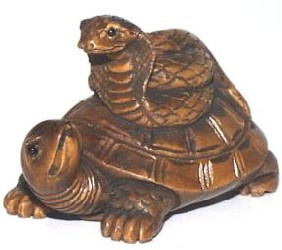 turtle3