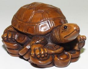 turtle4